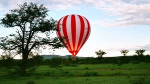 Eit afrikansk ballongeventyr