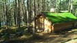 Miniatyrbilde til Brutjernskoia