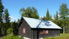 Tingstadkoia, sommer. Foto: Jan Schrøder.