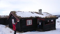 Storhøliseter