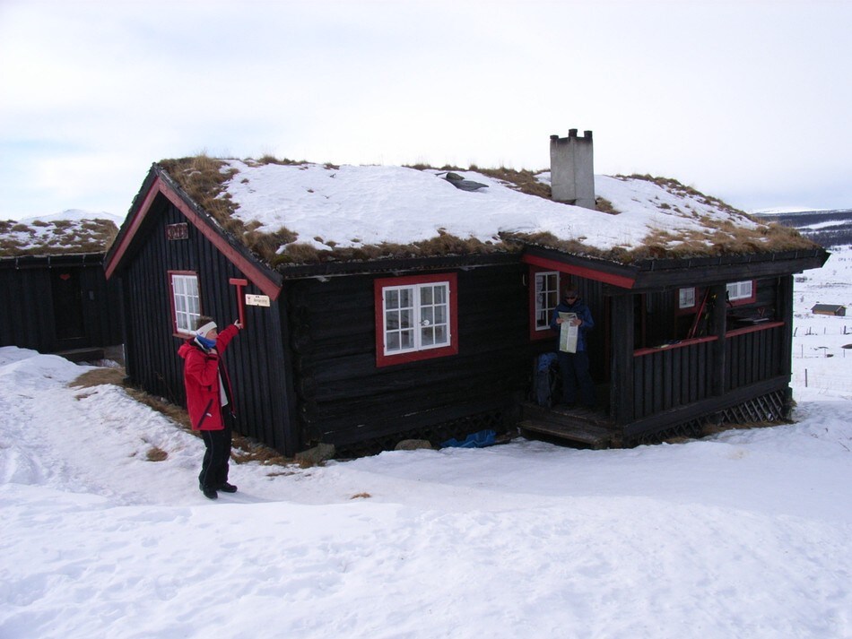 Storhøliseter
