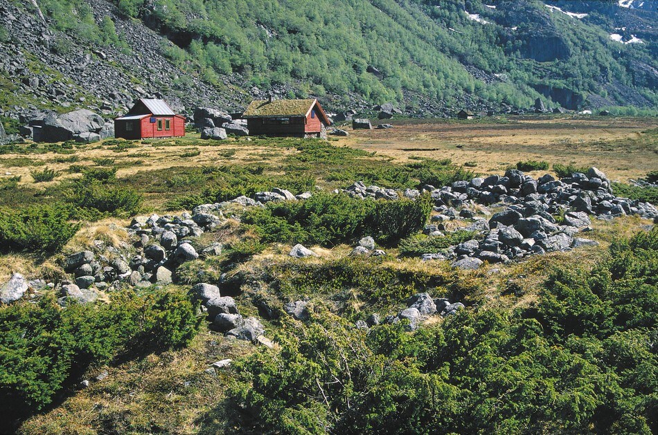 Hyttene i Viglesdalen ligger på en stor elveslette. Murene i forgrunnen er restene av tidligere bosetting
