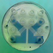 Virus-chip (Danmarks Tekniske Universitet) Virus-chip (Danmarks Tekniske Universitet)