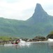 Hamarøyskaftet