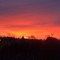 Morgenhimmel 19.11.09 ( Finn Busk, Flisa)