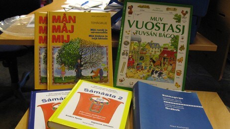 Ordbøker og lærebøkerer ikke alltid tilstrekkelig språkhjelp. (Foto: Harrieth Aira/NRK)