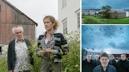 Berlinerpoplene - skrivebordsbakgrunn (Foto: Anne Liv Ekroll/NRK)