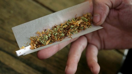 Cannabis (Foto: PETER DEJONG/Ap) Cannabis (Foto: PETER DEJONG/Ap)