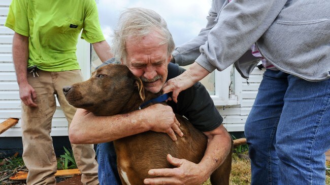 Gjensyn med husdyr i East Limestone i Alabama. (Foto: Gary Cosby Jr/Ap) Gjensyn med husdyr i East Limestone i Alabama. (Foto: Gary Cosby Jr/Ap)