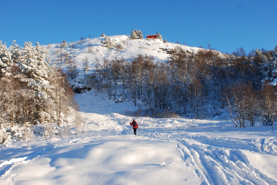 Byfjellene julehelgen 2010
