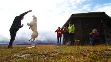 Med hund på tur (Foto: Vegard S Kristiansen)