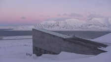 Frøhvelvet på Svalbard (Foto: Mari Tefre / Svalbard Globale Frøhvelv)