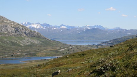 Tyinosen frå Grønaskaret (Foto: Kjell Arvid Stølen/NRK)