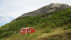 Skåpet