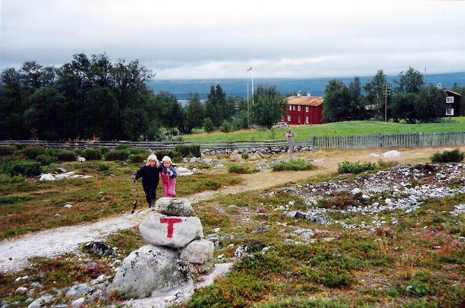 Svukuriset i Femundsmarka