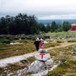 Svukuriset i Femundsmarka