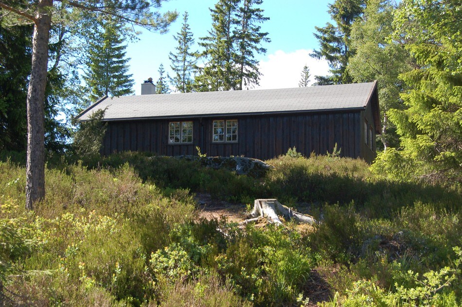 Skarsvassbu