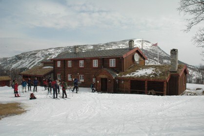 Bjørnhollia