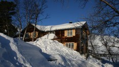 Vangshaugen