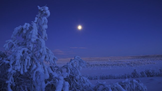 Siribekken utenfor Karasjok (Foto: Frank Bang)