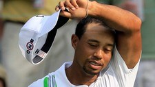 tiger (Foto: Tony Dejak/Ap)