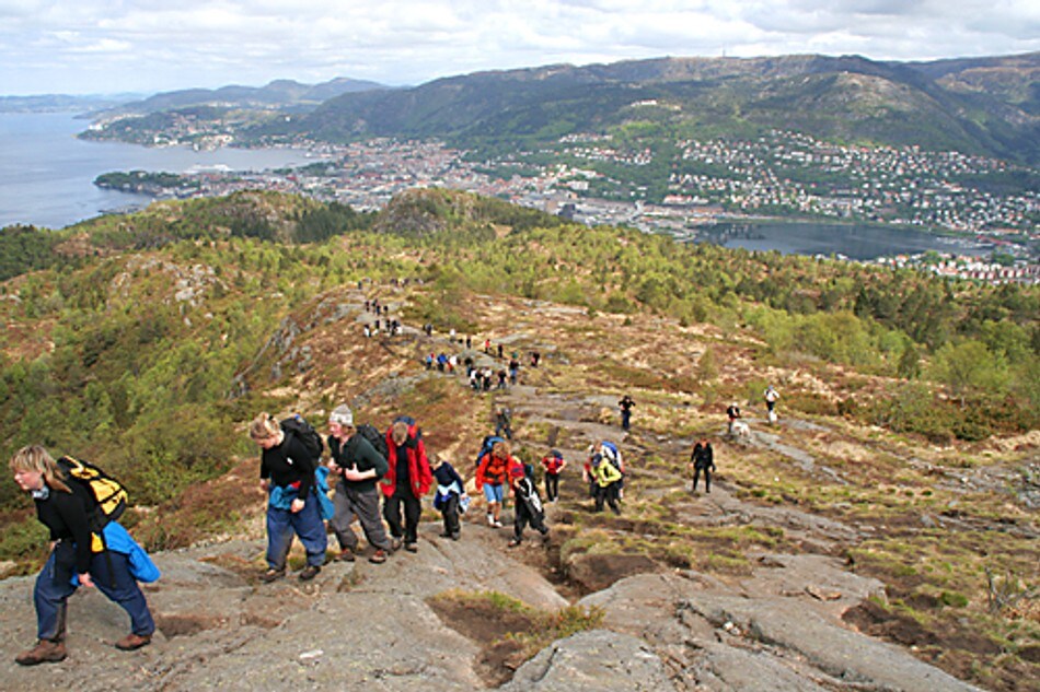 Utsikt fra Løvstakken ut over byen og fjorden