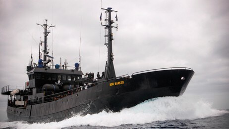 Sea Shepherd-skuta Bob Barker (Foto: Jo Anne McArthur/Sea Shepherd/Scanpix/Reuters) Sea Shepherd-skuta Bob Barker (Foto: Jo Anne McArthur/Sea Shepherd/Scanpix/Reuters)