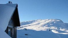 Blåbrebu