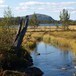 På langtur over til svensk side av Femundsmarka
