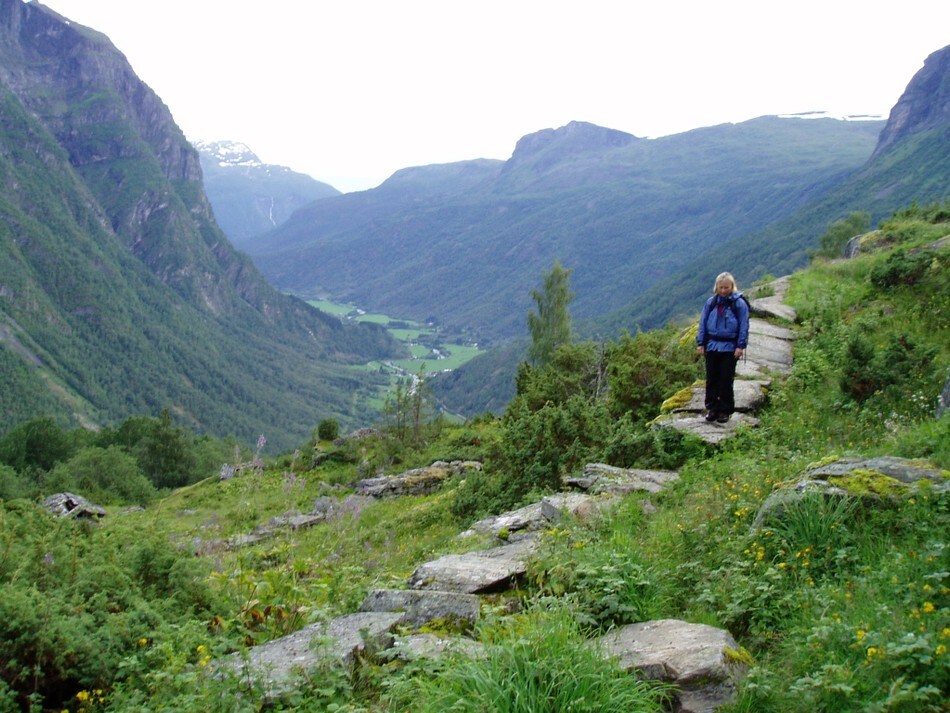 Fra strekningen Fortundalen - Stølsdalen