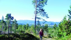 På seterveien opp fra Bostadgårdene i Klæbu.