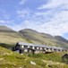 Sommer ved Øvre Dørålseter
