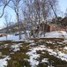 Vangshaugen