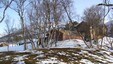 Vangshaugen