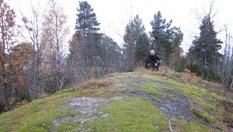 Toppen av Lauvesnyta