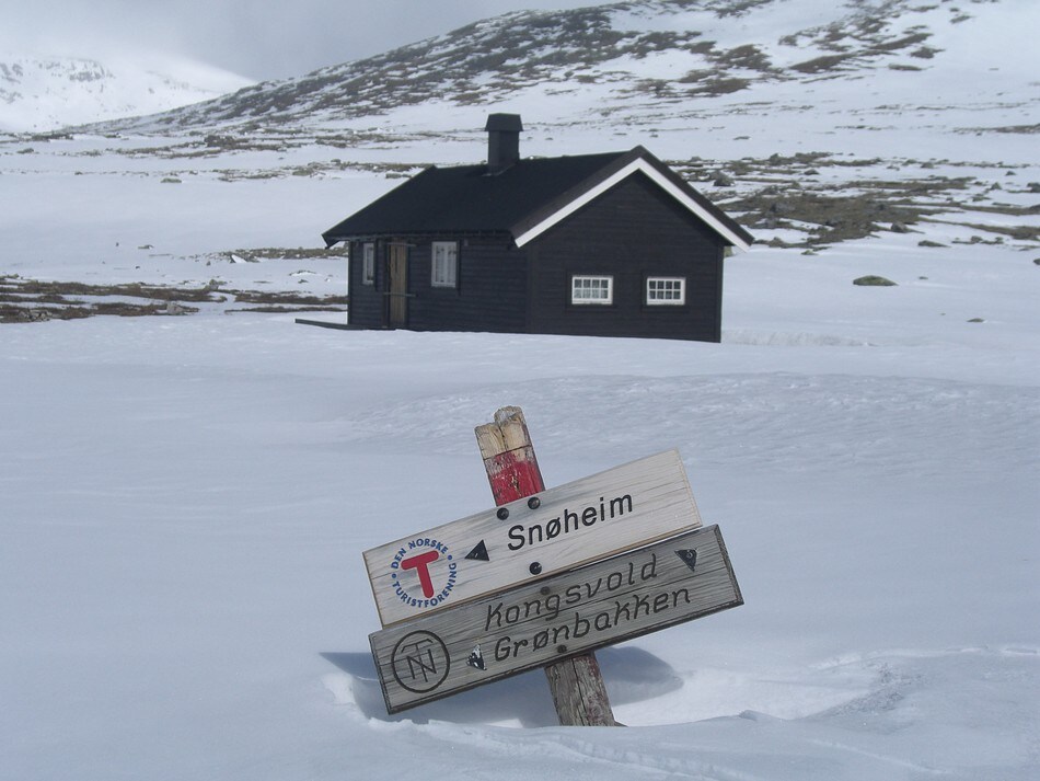 Reinheim i Skropledalen, Dovrefjell. Mai 2006