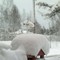 Snøen har lagt seg på Koppang Snøen har lagt seg på Koppang