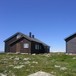 Lågaros på Hardangervidda i Juli