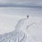 Kvistet rute ved Tuva på Hardangervidda. 