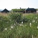 Sommer ved Breisjøseter