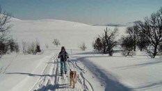 Bilde fra Fjelltur.no - Folldal kommune.