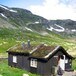 Stavskar i Setesdalsheiane