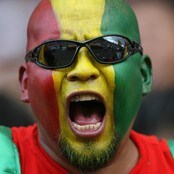 Copa America. Fan. Copa America. Fan.