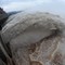 Kinas Three Gorges Dam-prosjekt på Yangtze-elven gjorde den største flomkontroll-testen tirsdag 21. juli. 