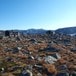 Kongshelleren badet i sol