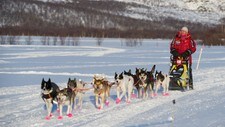Inger Marie Haaland inn i Sirbma (Foto: Knut-Sverre Horn/NRK)