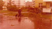 Minitornado på Teisen for 35 år siden (Foto: Kristian Erik Lyse) Minitornado på Teisen for 35 år siden (Foto: Kristian Erik Lyse)