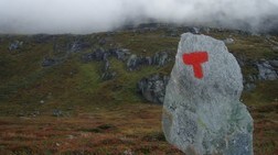 Turistforeningens T (Foto: Asle Hella/NRK)