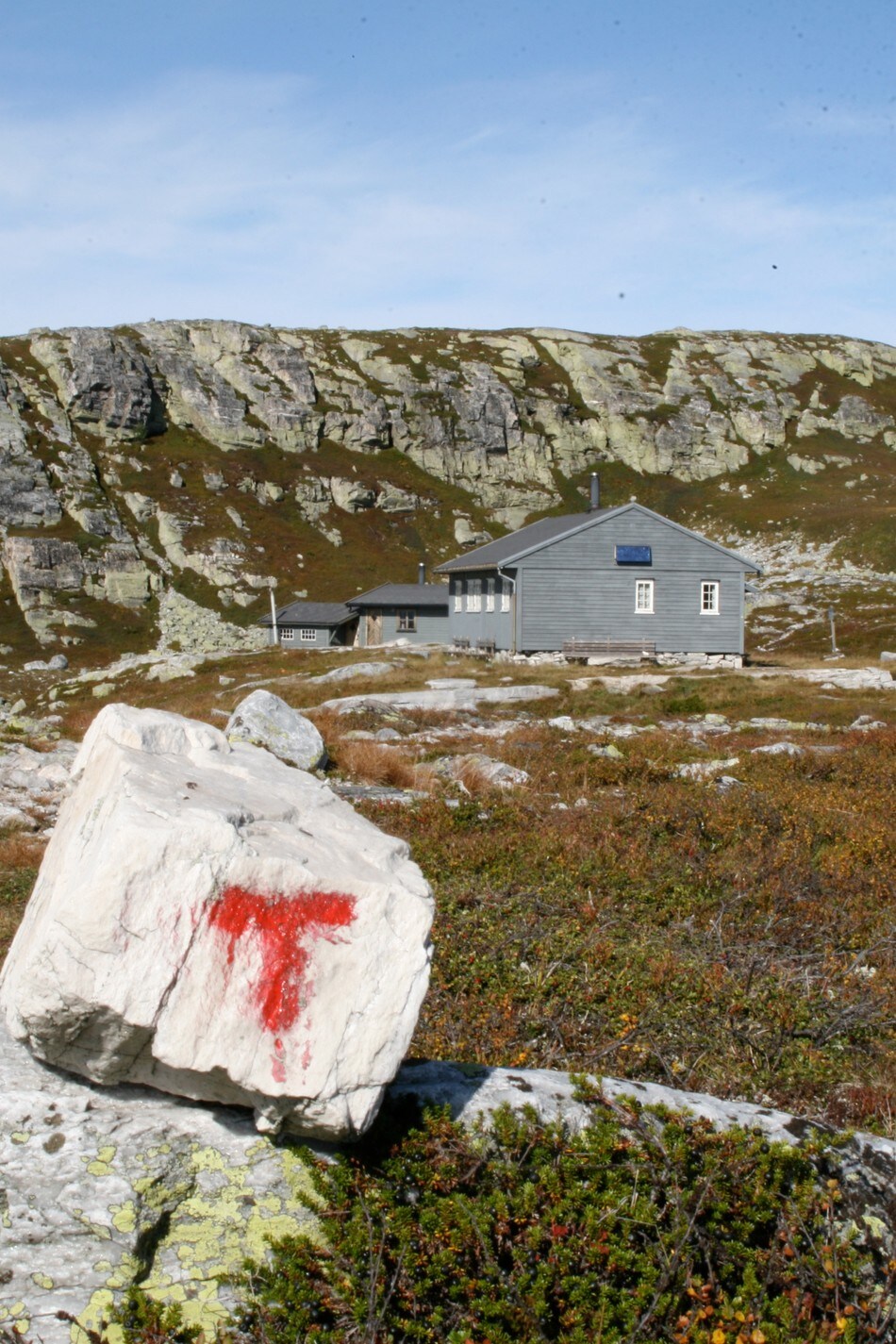 2009