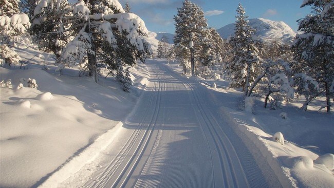 Skil�ypene i Stryn